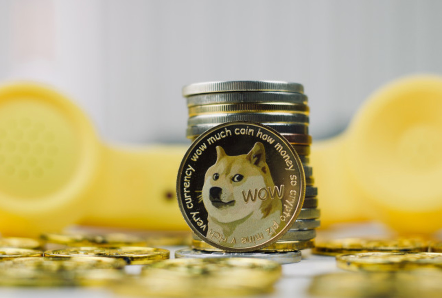 Dogecoin EasyDNS