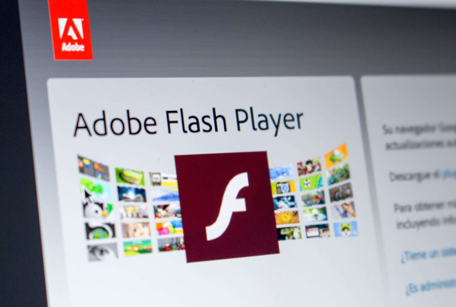 Adobe Flash Windows 10