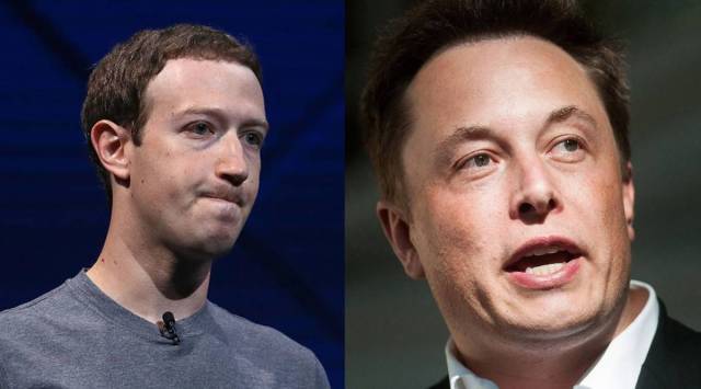 Zuckerberg and Elon Musk cage fight.