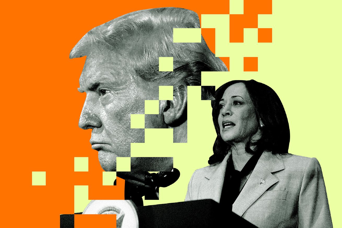 Pro-Harris TikTok