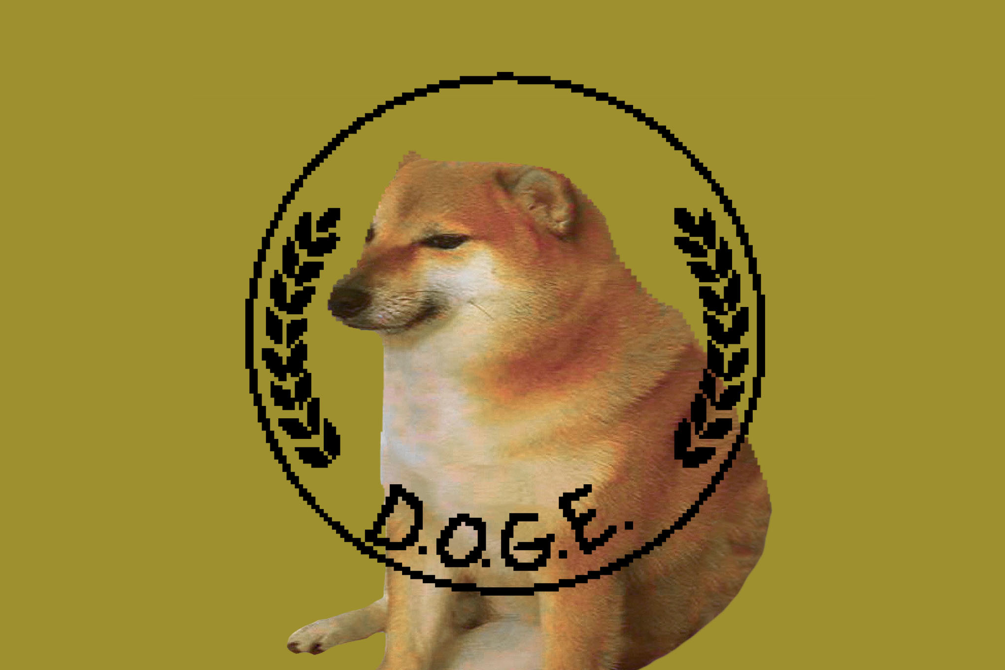 A DOGE