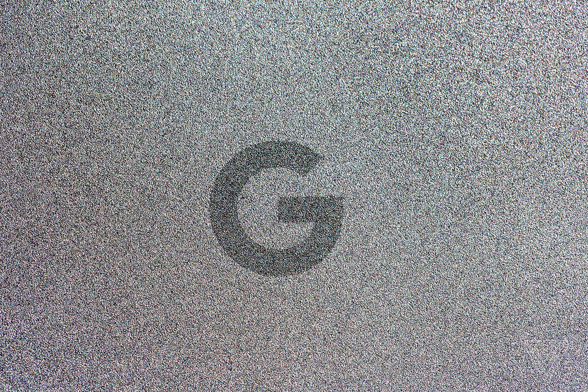 The Google