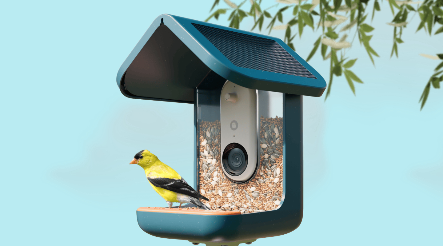 Bird Buddy’s